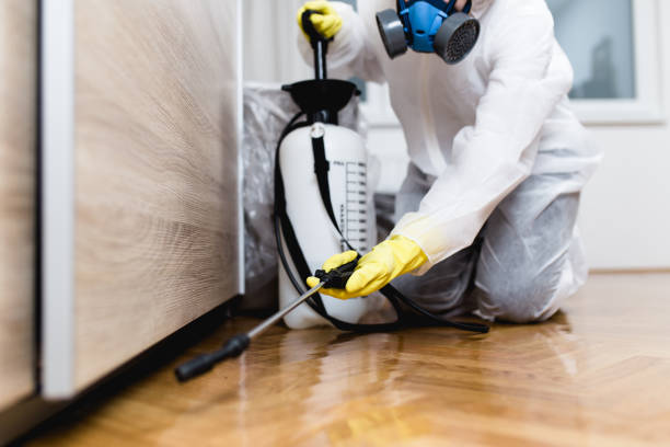Best Pest Control for Homes  in Bevil Oaks, TX