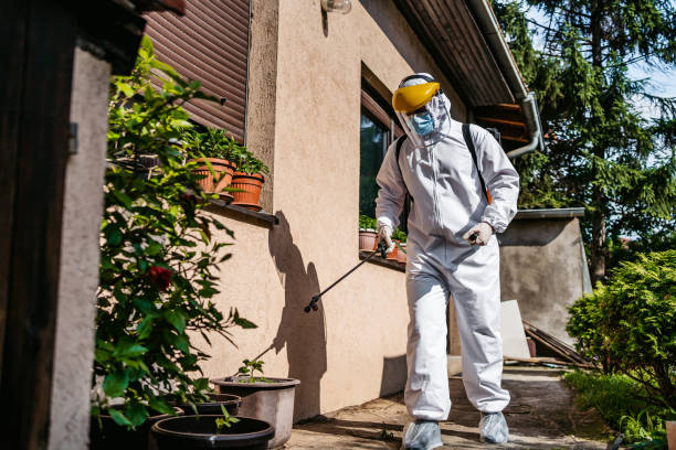 Best Wasp Removal Services  in Bevil Oaks, TX
