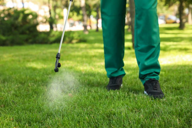 Best Affordable Pest Control Services  in Bevil Oaks, TX