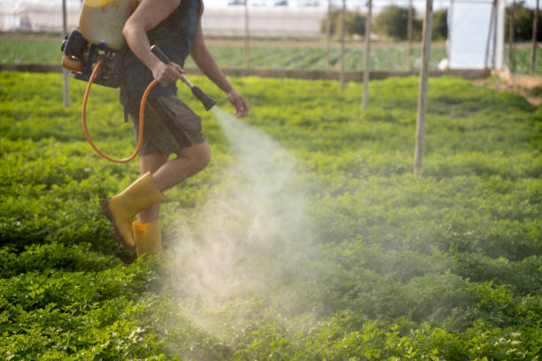 Best Pest Control for Businesses  in Bevil Oaks, TX