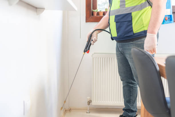 Best Wasp Removal Services  in Bevil Oaks, TX