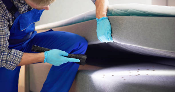 Best Rat Extermination Near Me  in Bevil Oaks, TX