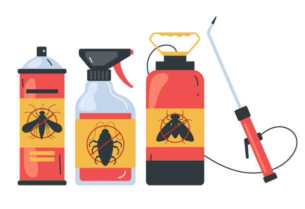 Best Pest Removal Services  in Bevil Oaks, TX