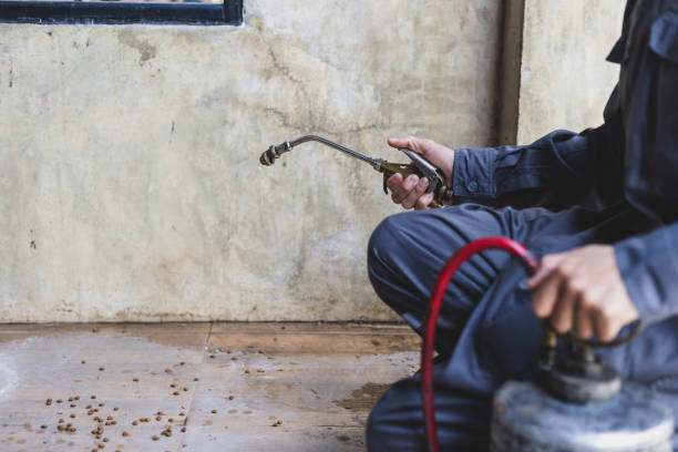 Best Residential Pest Control  in Bevil Oaks, TX